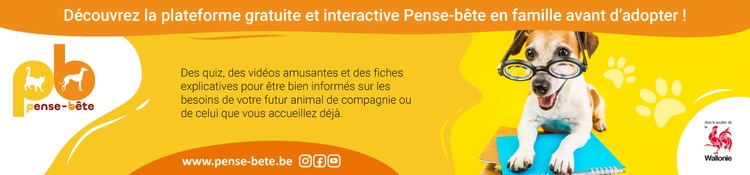 Pense-Bête